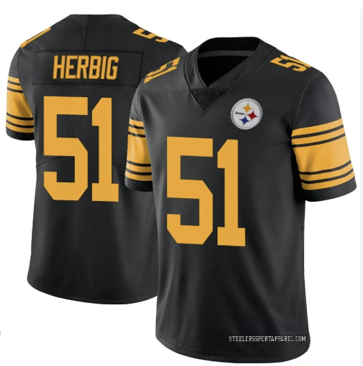 Men's Pittsburgh Steelers #51 Nick Herbig Black 2025 F.U.S.E. Color Rush Vapor Untouchable Limited Stitched Jersey
