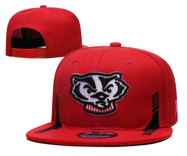 Wisconsin Badgers Stitched Snapback Hats 002