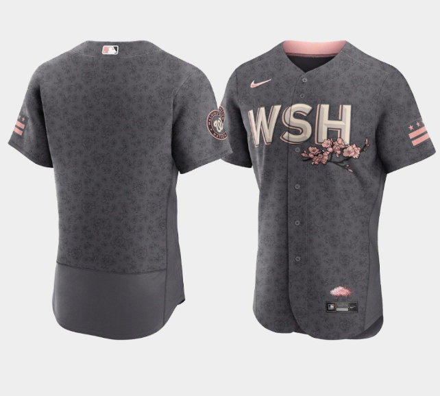 Women's Washington Nationals Blank 2022 Grey City Connect Cherry Blossom Stitched Jersey(Run Small)